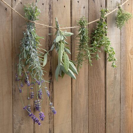 Fresh culinary herbs drying in front of a rustic wooden backgroundの写真素材