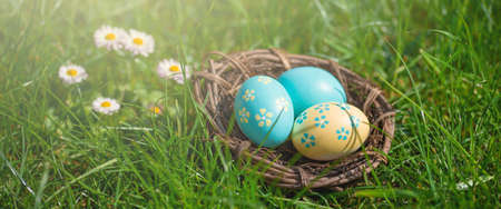 Beautiful Easter decoration - Basket with colorful easter eggs on meadow with daisy flowers in the...