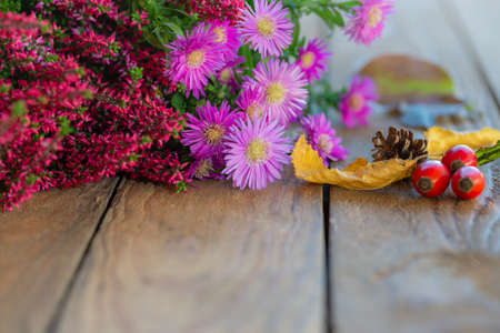 Autumnal decoration with colorfull heather and rose hips on rustic wood - copyspace