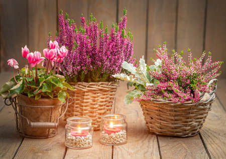 Autumnal decoration with flower pots and candles on rustic woodの写真素材