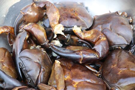 Fresh water crab with separated legs for eatingの写真素材
