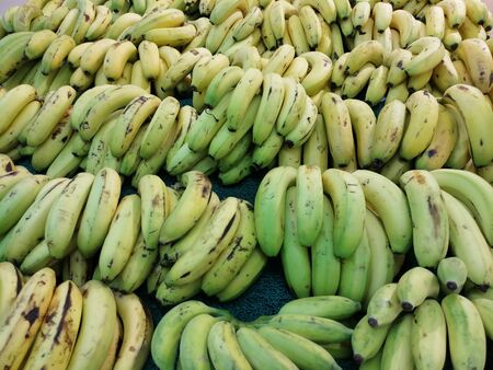 bunch of bananas some of which are ripe and few are unripe kept in market for saleの写真素材