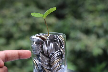 plant with lots of pennies or coins showing growth in business or investment conceptの写真素材