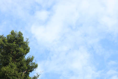 Blue sky with partial clouds and a tree on bright beautiful dayの写真素材
