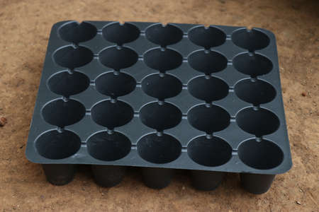 Empty and new seedling tray used as growing trays for seeds. Germination tray or nursery tray kept on ground with empty slots for soil fillingの写真素材