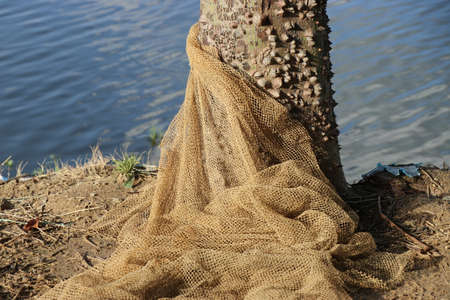 Fishing net by the side of the river kept on the bottom of tree trunk