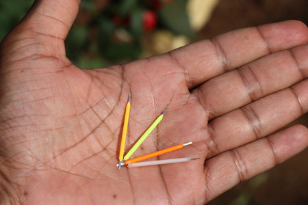 Filaments of various color used inside LED bulbs held in the hand on natural light