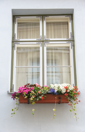 Windows with flowers in old townの写真素材