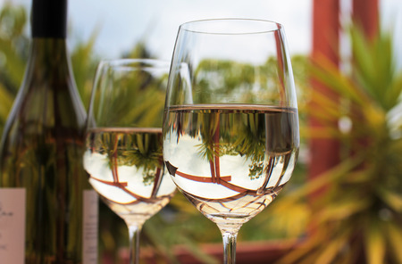 Bottle  glasses of white wine with yucca trees in backgroundの写真素材