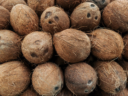 Group of stacked brown coconuts. The coconuts are grouped and look fresh and natural. Coconuts...