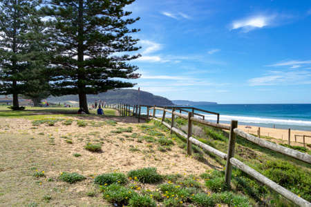 Palm beach landscapeの写真素材