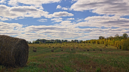 A scenic rural landscape with hay bales scattered across a field under a partly cloudy sky.