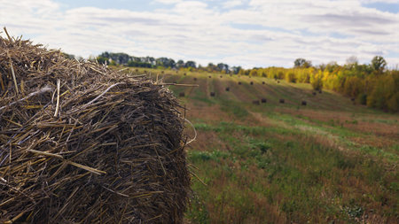 A hay bale in a field with more bale in the distance under a cloudy sky.の写真素材