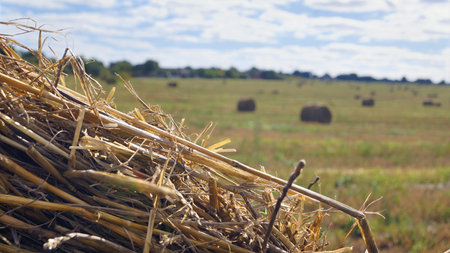 Close-up of haystack with blurred field and hay bales in background.
