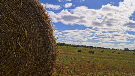 A hay bale in a field under a partly cloudy sky.