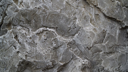 Close-up of textured gray stone surface with rough, uneven patterns.
