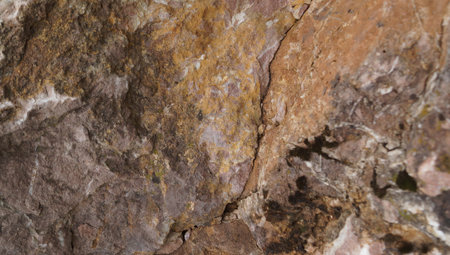 A vertical detail of a rock face displaying rich gold, yellow, and brown tones in distinct, rough...