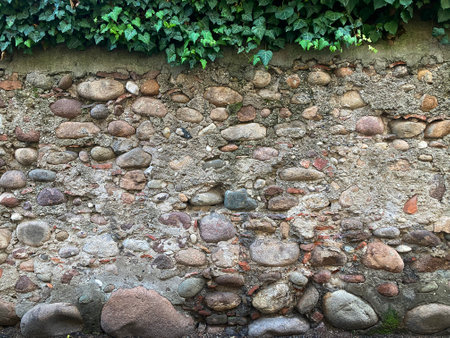 Old stone wall with ivy. Background and texture for design.の写真素材