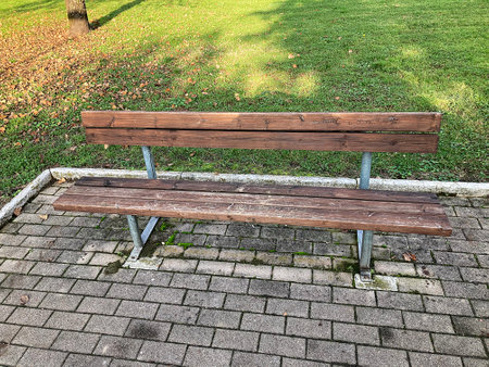 Wooden bench in the park. Wooden bench in the park.の写真素材