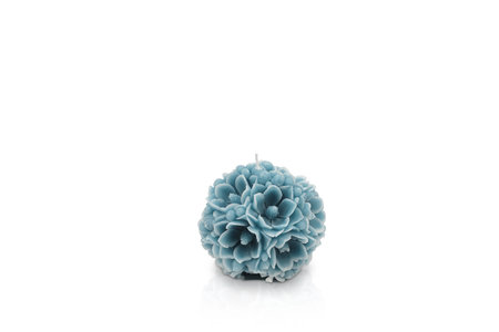 Blue flower candle isolated on white background with reflection and copy space.の写真素材