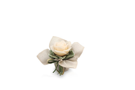 White rose with ribbon isolated on white background with copy space for text.の写真素材