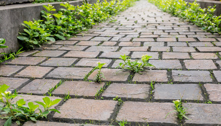 Stone walkway in the gardenの素材