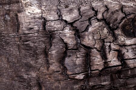 old and rustic wooden backgroundの写真素材