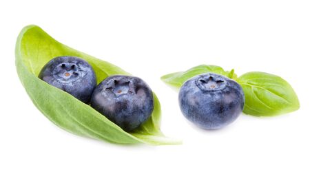 blueberries with leaf on white backgroundの写真素材