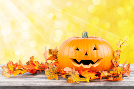 halloween pumpkin autumn backgroundの写真素材