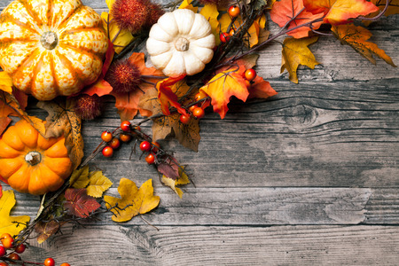autumn background with pumpkinsの写真素材