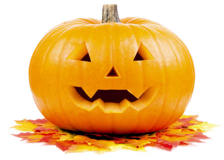 halloween pumpkin on white backgroundの写真素材