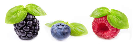 berries with leaf on white backgroundの写真素材