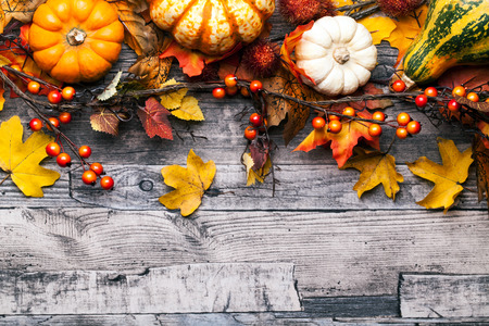 autumn backgroundの写真素材