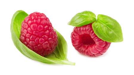 raspberries with leaf on white backgroundの写真素材
