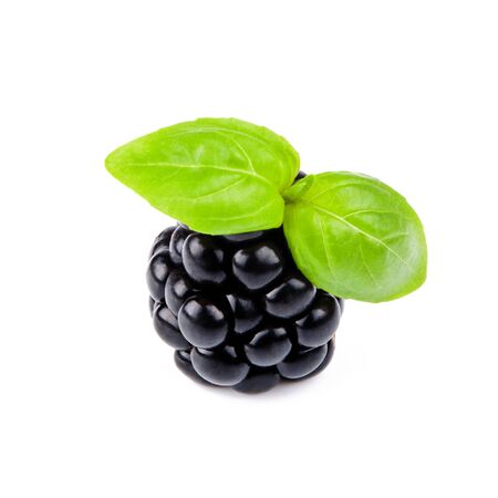 blackberry with leafの写真素材