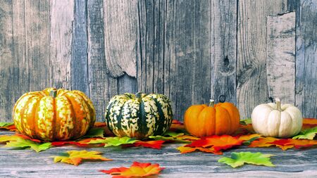autumn background with pumpkinsの写真素材