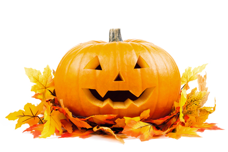 pumpkin with autumn leavesの写真素材