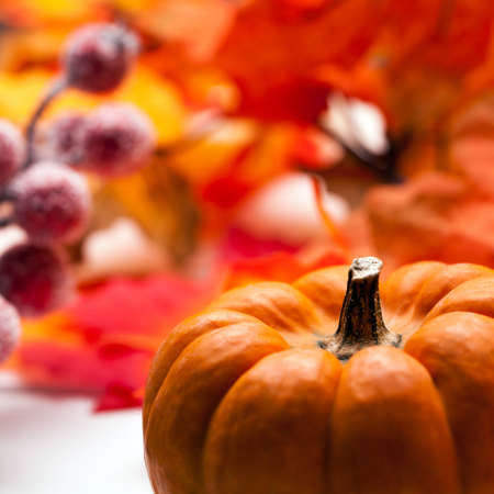 autumn background with a pumpkinの写真素材
