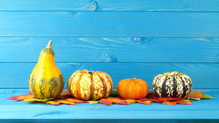 autumn background with pumpkins and leaves
