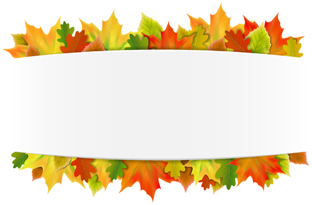 autumn leaves backgroundのイラスト素材
