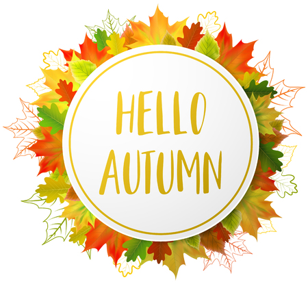 autumn fall leaves circleのイラスト素材