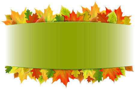 autumn leaves backgroundのイラスト素材