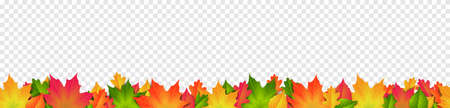 Colorful autumn leaves border frame isolated on transparent backgroundのイラスト素材