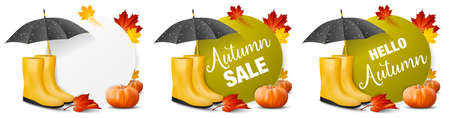 Autumn promotion offers banner set with autumn leaves and pumpkinsのイラスト素材
