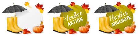 Autumn promotion offers banner set with autumn leaves and pumpkins (german)のイラスト素材