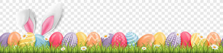 Easter bunny ears with easter eggs on meadow with flowers background banner transparentのイラスト素材