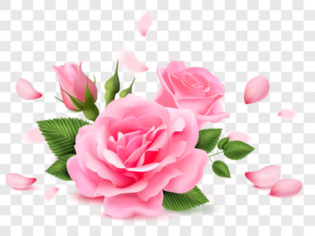Pink red rose flower with leaves on transparent isolated background realistic vectorのイラスト素材