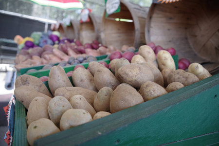 ampa Bay Farmers Market - Fresh Farmers Market Fruit and Vegetable Produce Stand