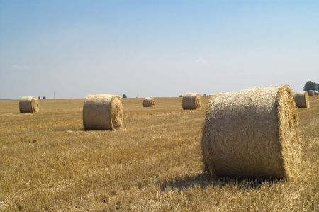 Bale of hay