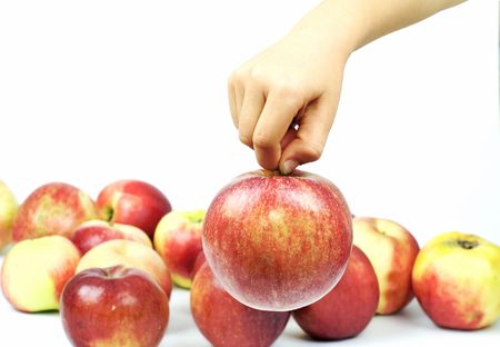 Apple in palmの写真素材